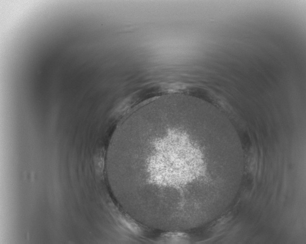 X0000061720427200512092005