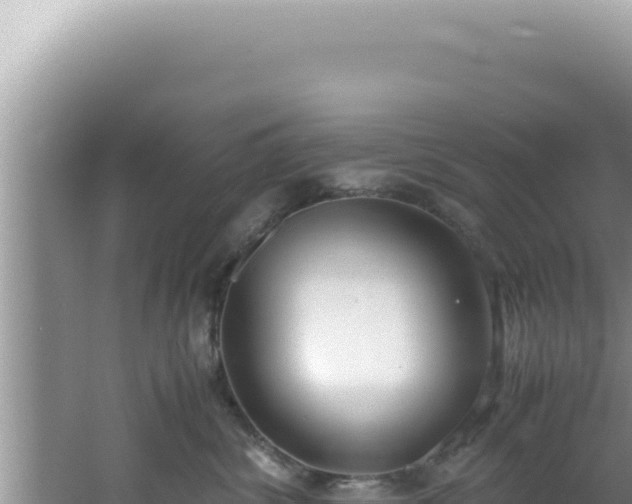 X0000061720428200512092005