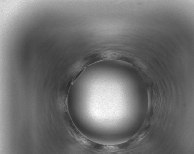 X0000061720429200512092005