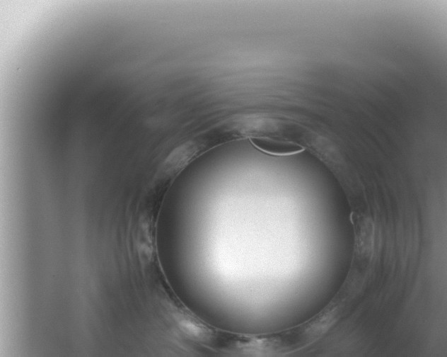 X0000061720430200512092005