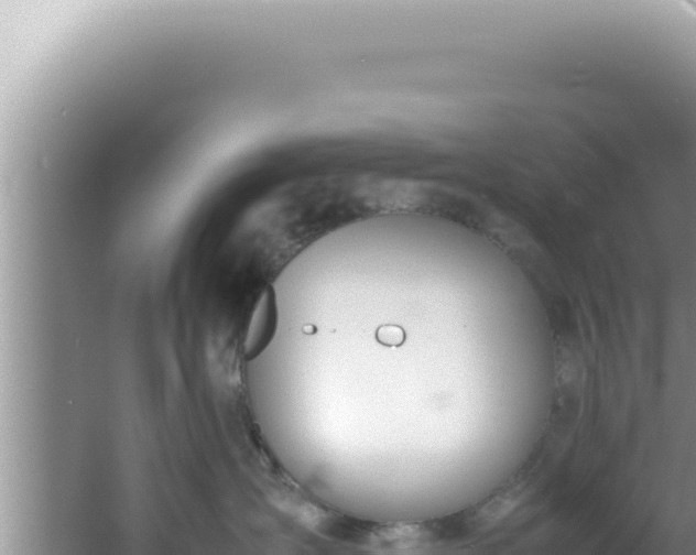 X0000061720431200512092005