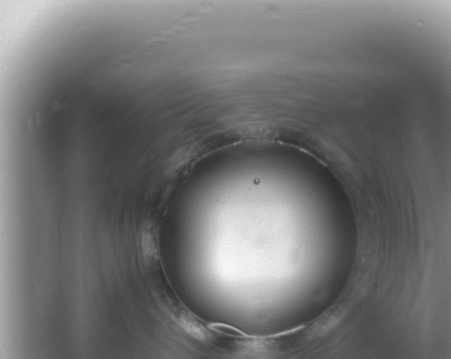 X0000061720432200512092005