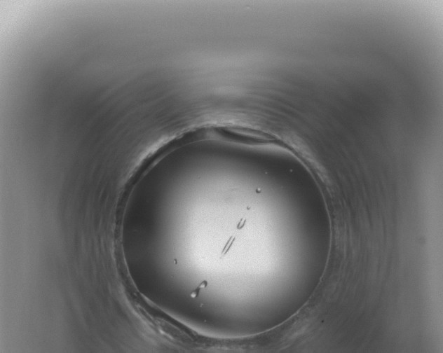 X0000061720434200512092004