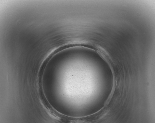 X0000061720436200512092004