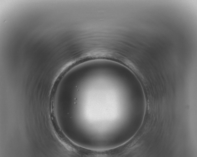 X0000061720438200512092004