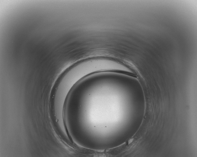 X0000061720439200512092004