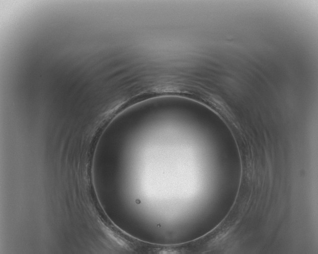 X0000061720441200512092004