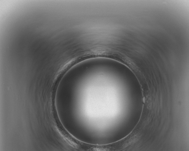 X0000061720442200512092004