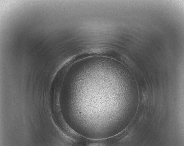 X0000061720444200512092004