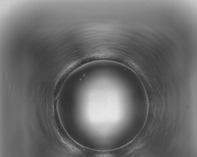 X0000061720446200512092004