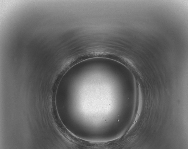 X0000061720447200512092004