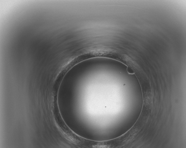 X0000061720448200512092004