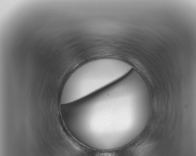 X0000061720449200512092005