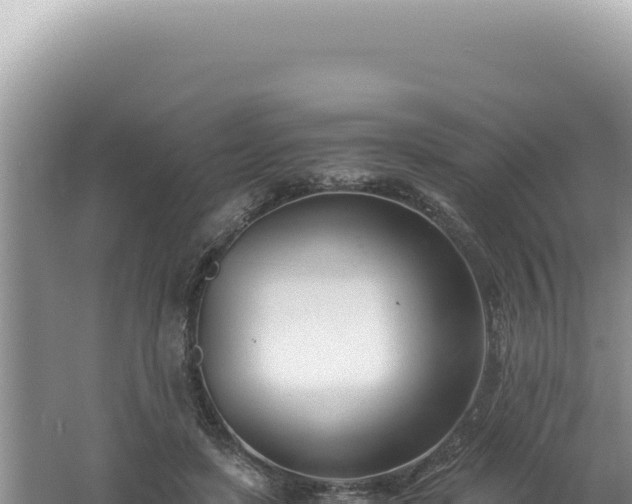 X0000061720451200512092005