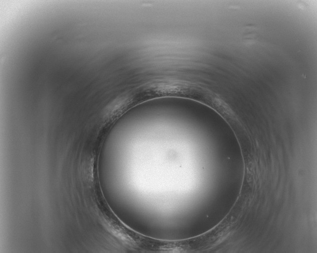 X0000061720454200512092005