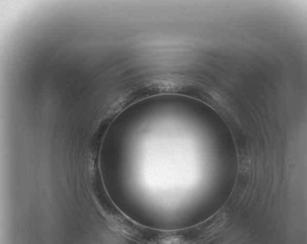 X0000061720456200512092005