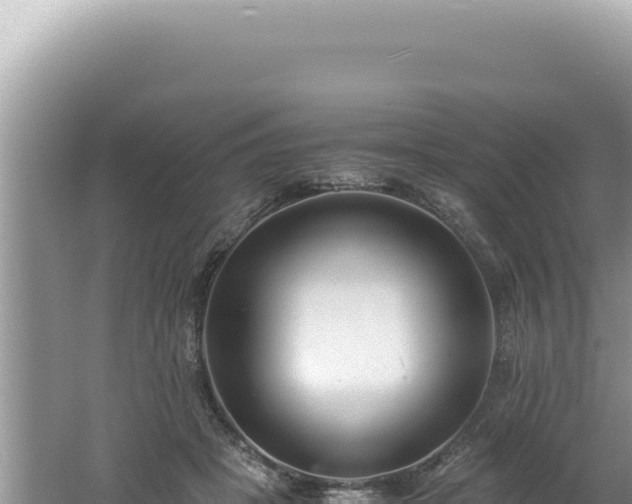 X0000061720457200512092005