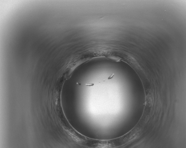 X0000061720458200512092005