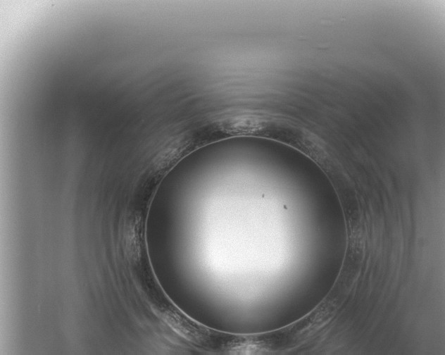 X0000061720460200512092005