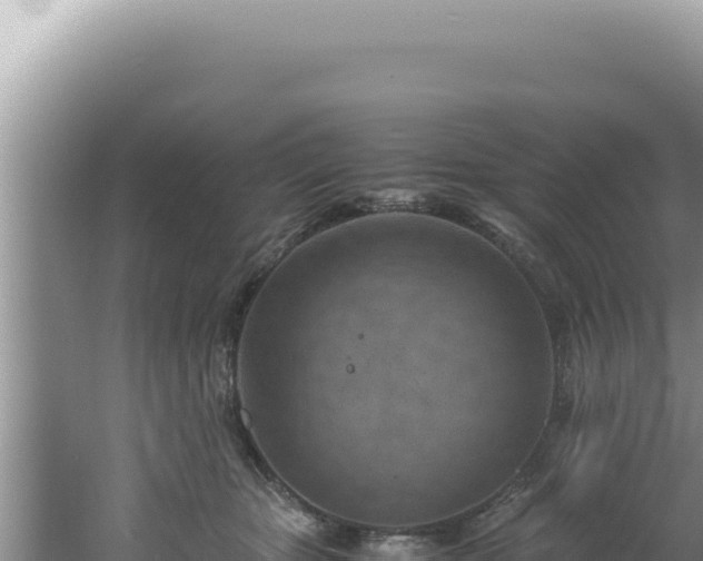 X0000061720467200512092005