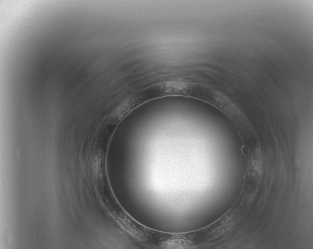 X0000061720468200512092005