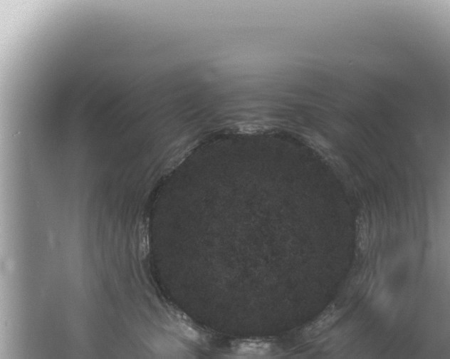 X0000061720471200512092005