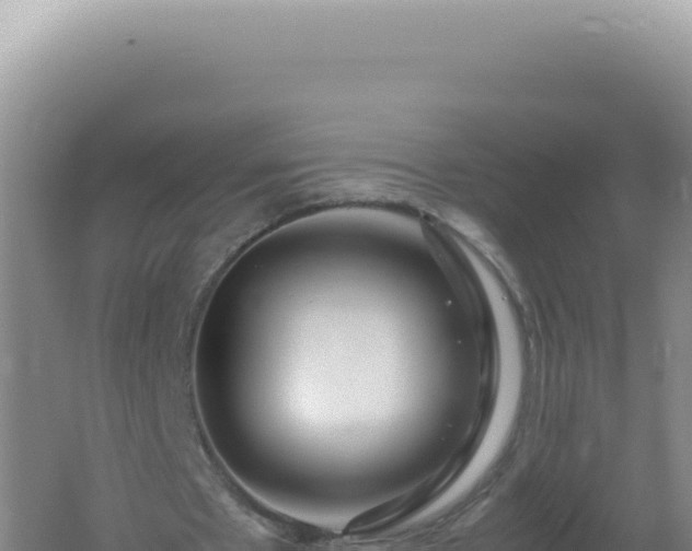 X0000061720481200512092004