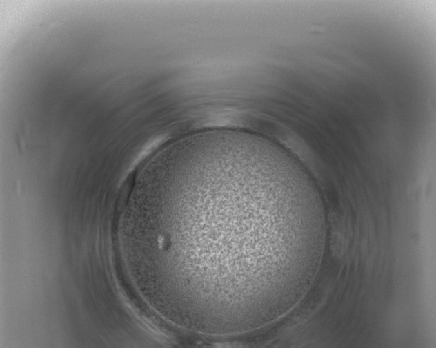 X0000061720482200512092004