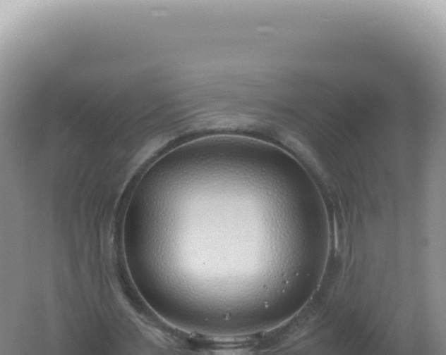 X0000061720483200512092004