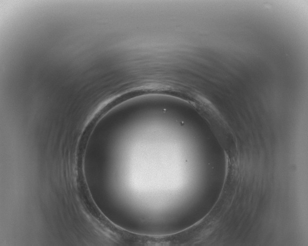 X0000061720484200512092004