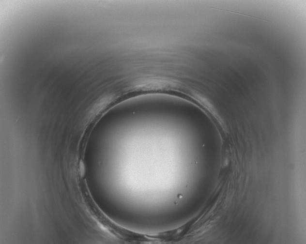 X0000061720485200512092004