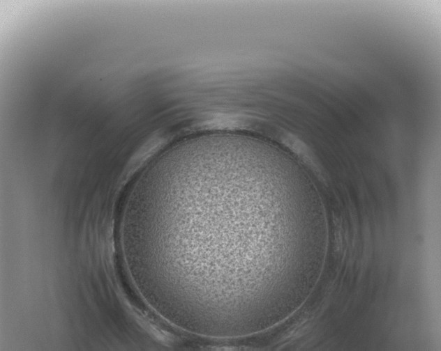 X0000061720486200512092004