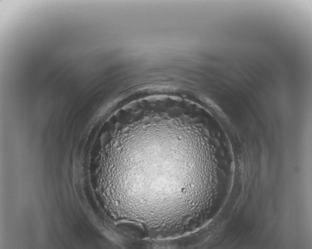 X0000061720487200512092004