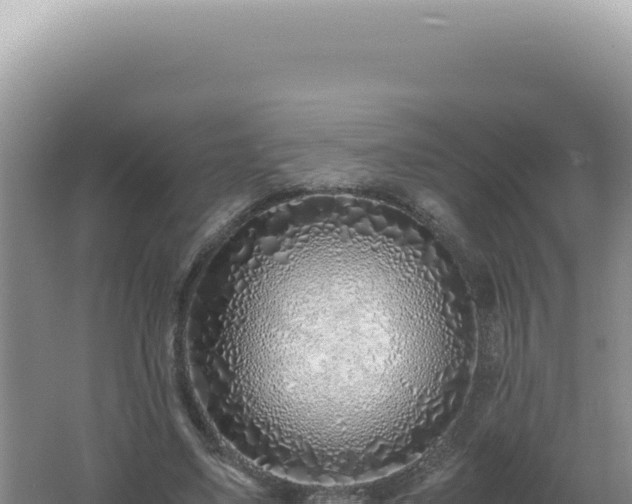 X0000061720491200512092004