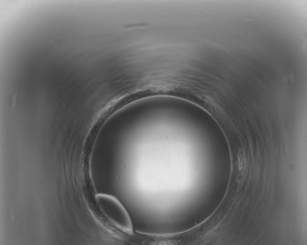 X0000061720492200512092004