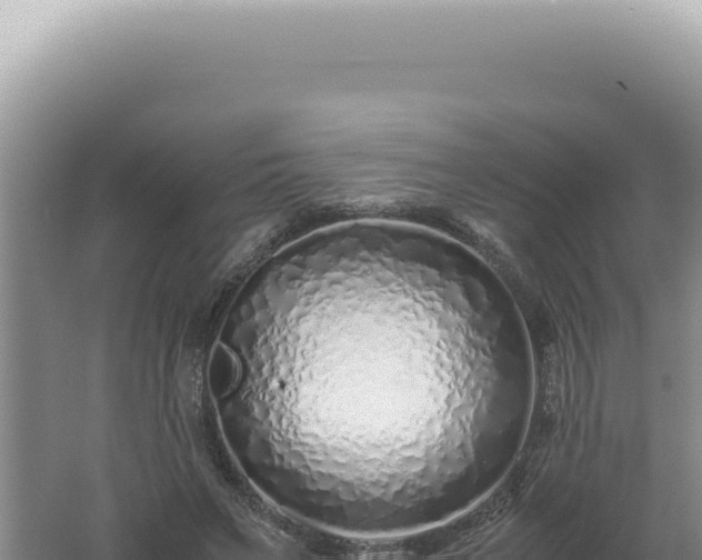 X0000061720495200512092004