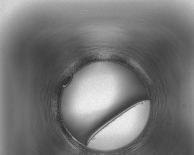 X0000061720497200512092004