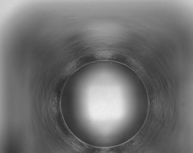 X0000061720498200512092004