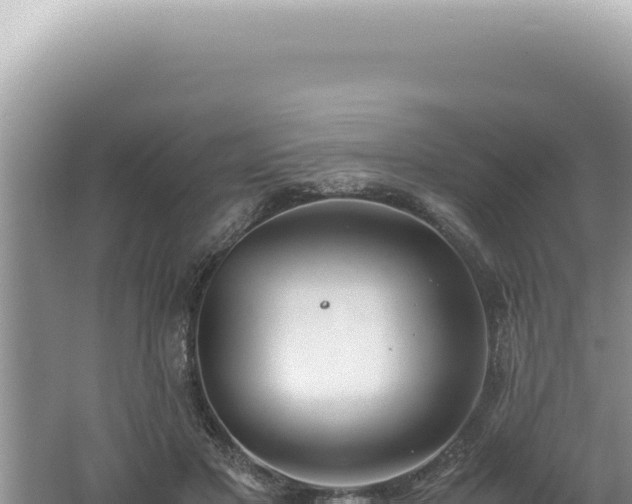 X0000061720501200512092004