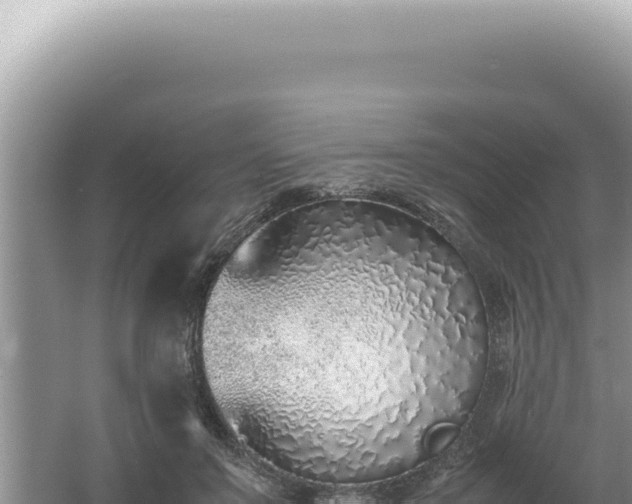 X0000061720503200512092004