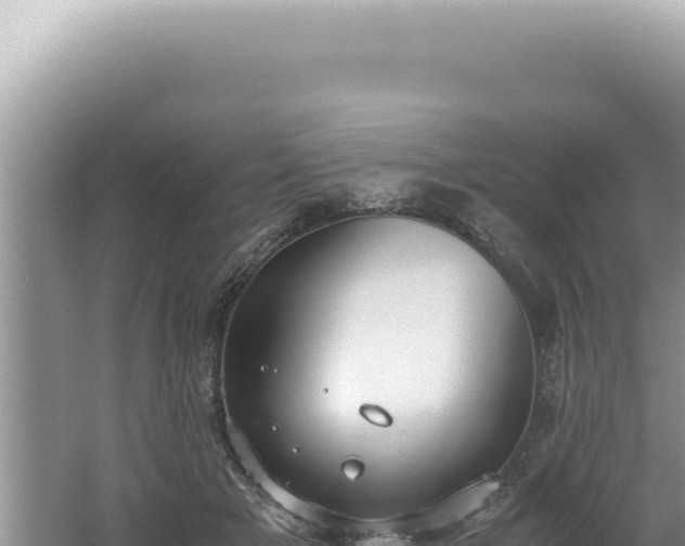 X0000061720505200512092004