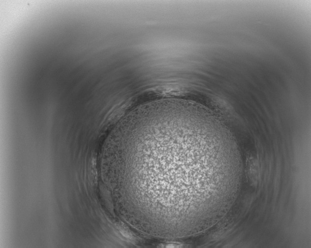 X0000061720506200512092004