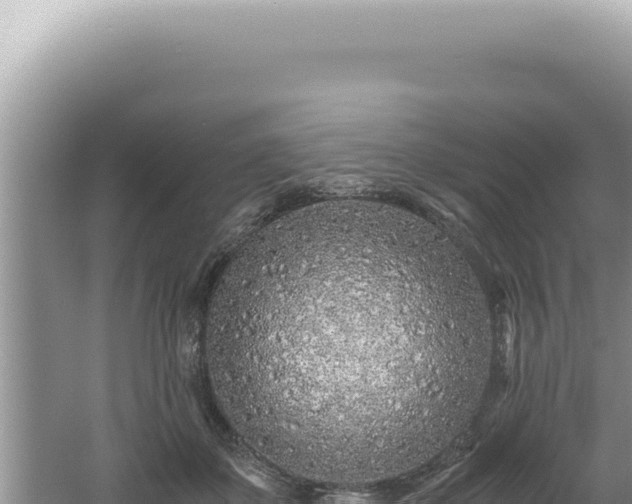 X0000061720507200512092004