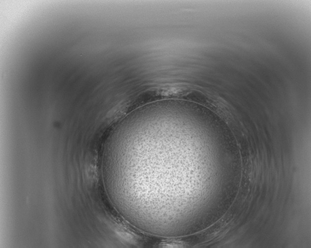 X0000061720510200512092004