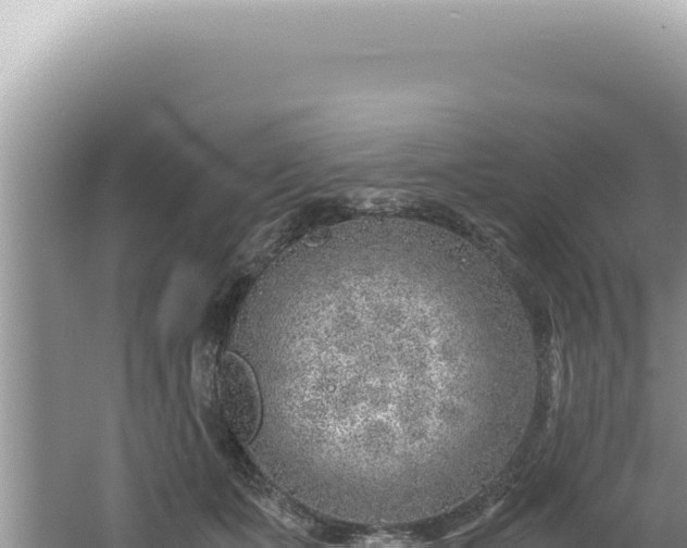 X0000061720511200512092004