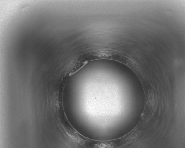 X0000061720512200512092004