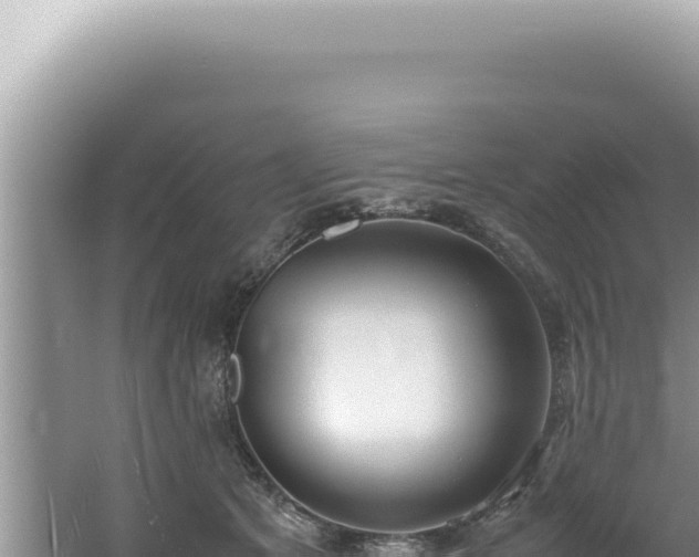 X0000061720513200512092004