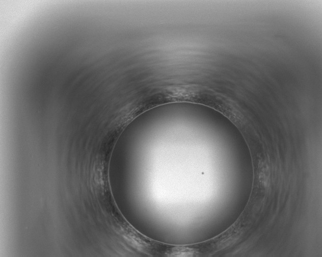 X0000061720514200512092004