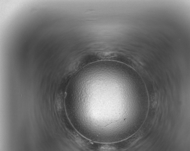 X0000061720515200512092004