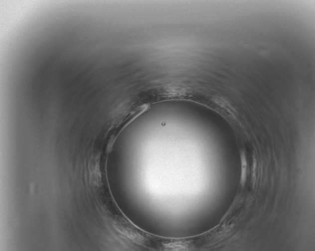 X0000061720516200512092004